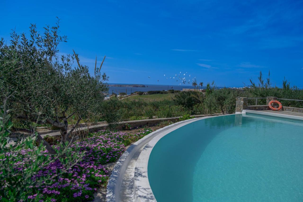 Anthemion Paros - Villas & Suites Agia Irini  Eksteriør bilde