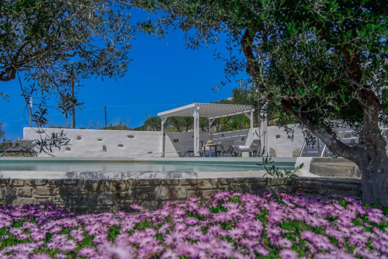 Anthemion Paros - Villas & Suites Agia Irini  Eksteriør bilde