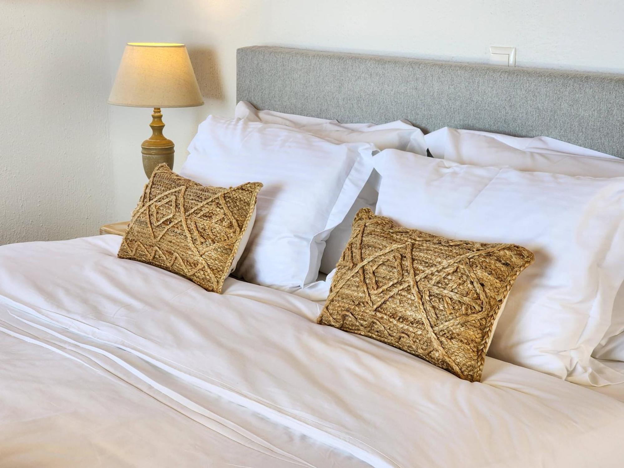 Anthemion Paros - Villas & Suites Agia Irini  Eksteriør bilde